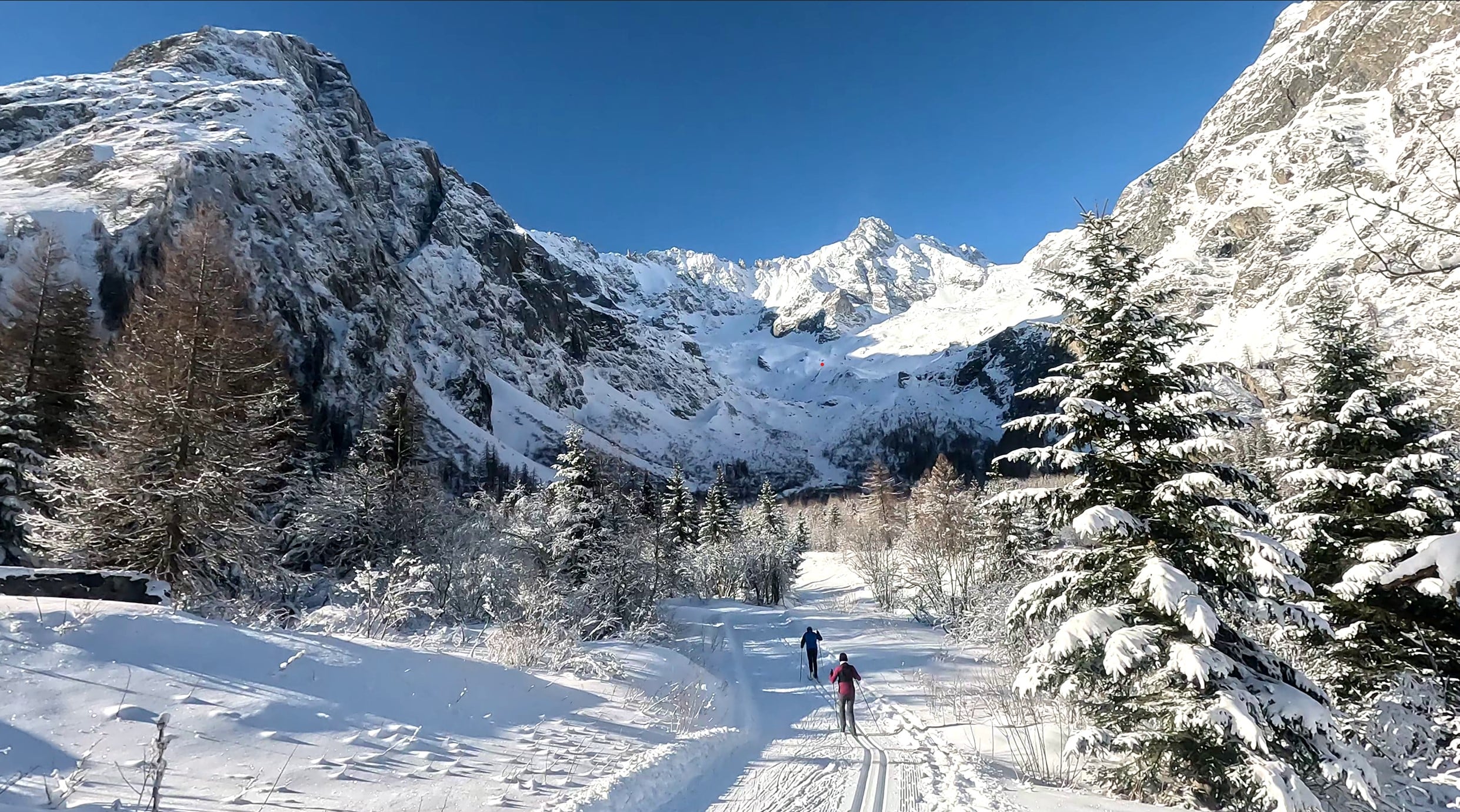 initiation ski de fond débutant